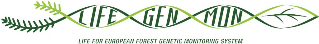 LGM-ENG-LOGO