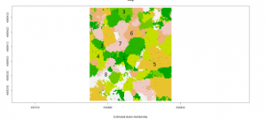 Spatial structure of cluster in Bosco di Baldo(GENELNAD)