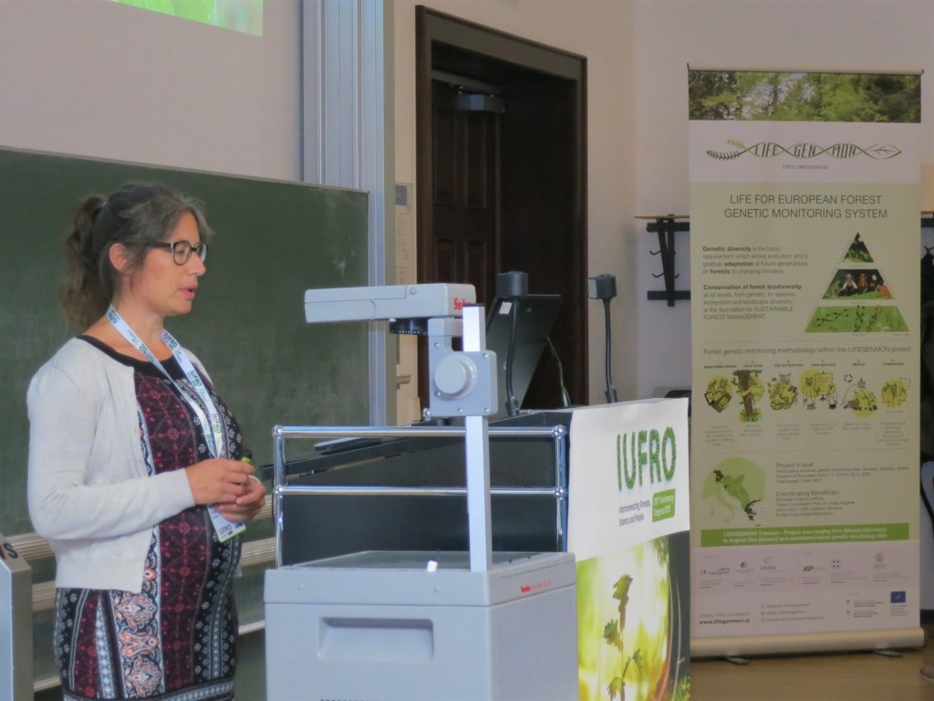 IUFRO2017_Session45 (9)